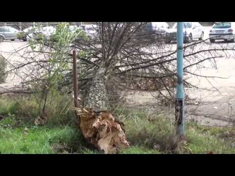 Reshjet e shiut do të vazhdojnë edhe gjatë natës