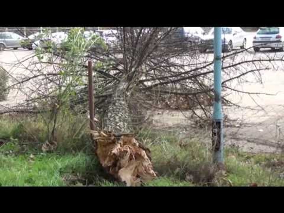 Reshjet e shiut do të vazhdojnë edhe gjatë natës