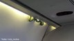 Snakes on Plane - Snake appears during Aeromexico flight