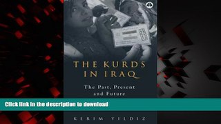 Read book  The Kurds in Iraq: The Past, Present and Future online to buy