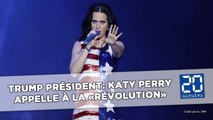 Donald Trump président: Katy Perry, Madonna... L'effarement des célébrités américaines