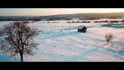 Sladja Allegro - Jelen