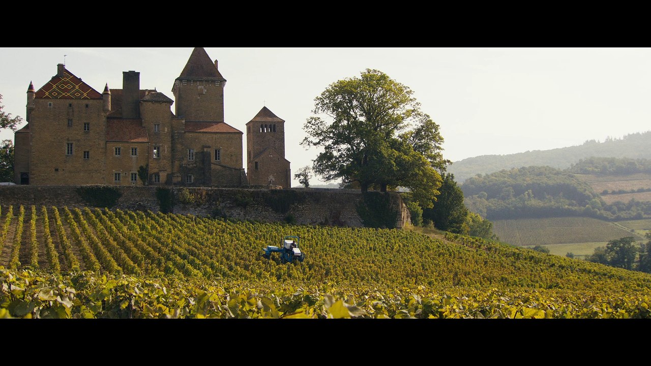 PREMIERS CRUS - bande annonce