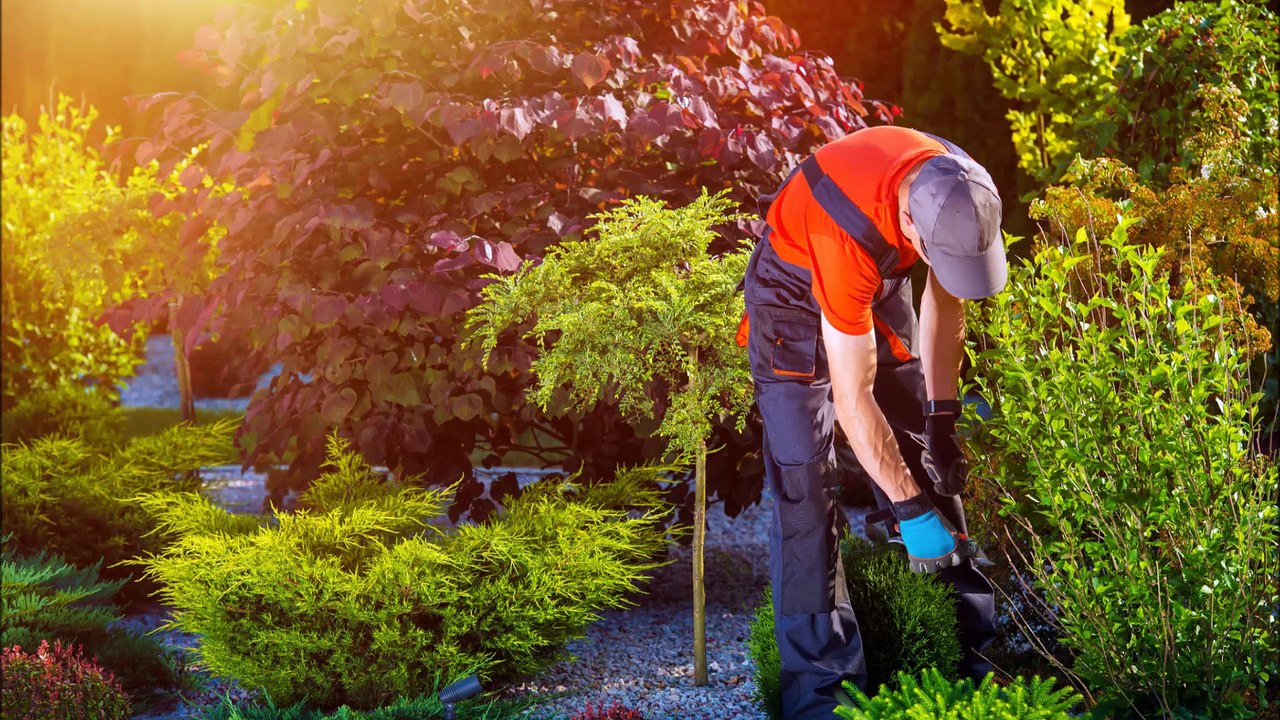 Primos Landscape - (703) 520-9031