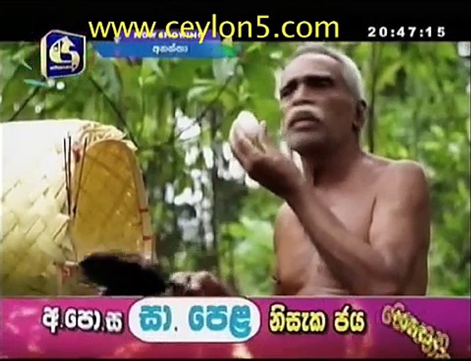 anantha 73