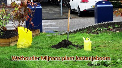 Wethouder Mijnans opent buurttuin de Vlinderkreek / Spijkenisse 2016