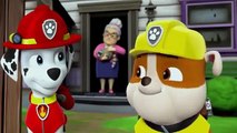 PAW Patrol Pups Save Friendship Day Best Episode From Full Episode #20