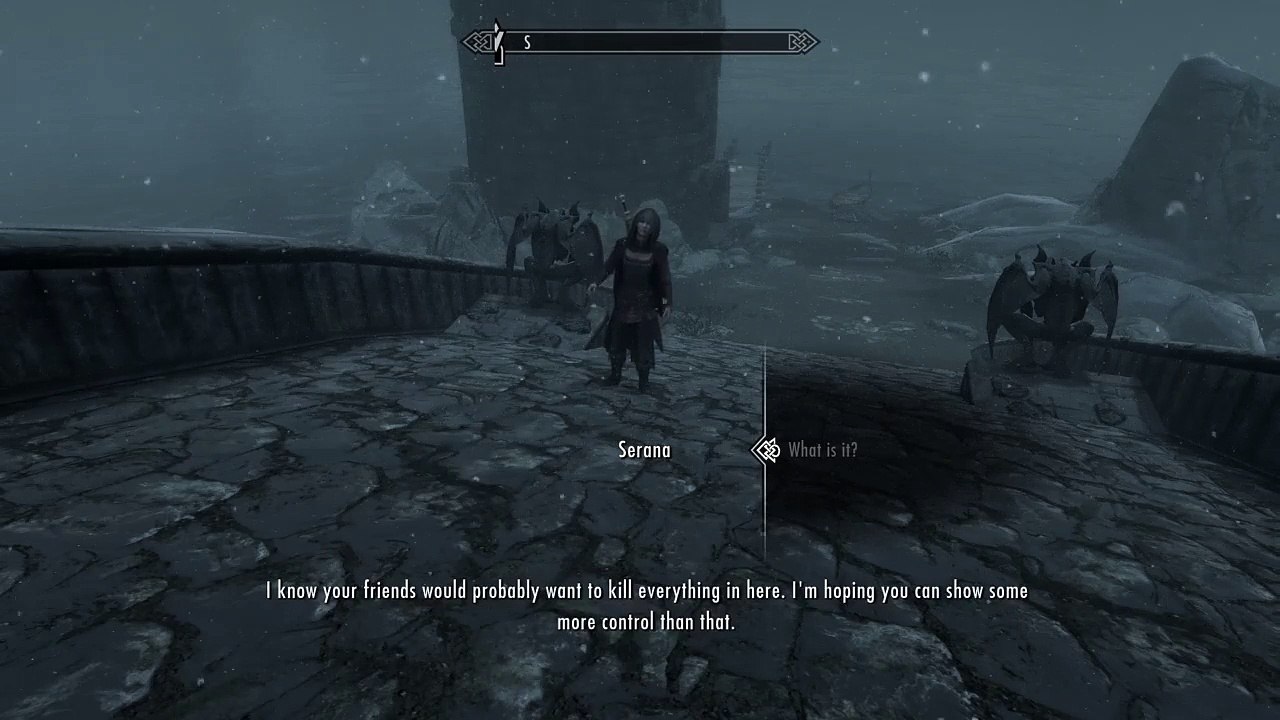 Skyrim remaster Master (21)