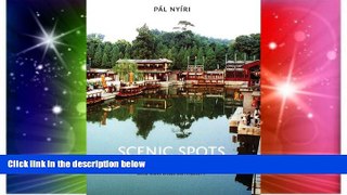 Must Have  Scenic Spots: Chinese Tourism, the State, and Cultural Authority (China Program Books)