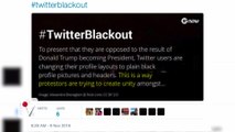 Twitter Users Protest Trump Presidency With Twitter Blackout