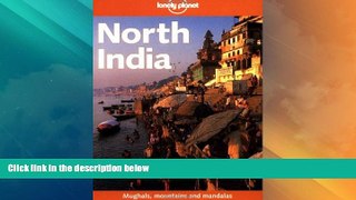 Big Deals  Lonely Planet North India  Full Read Best Seller