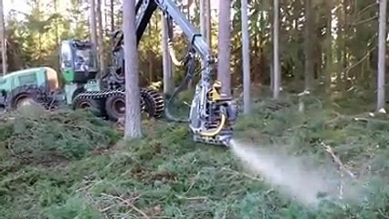 Bu makineye ağaç dayanmaz...