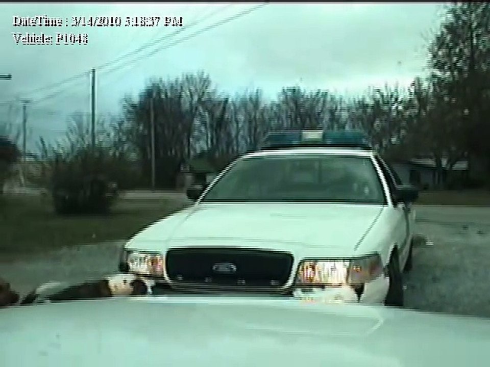 Winston the Bulldog vs Patrol Car (2)
