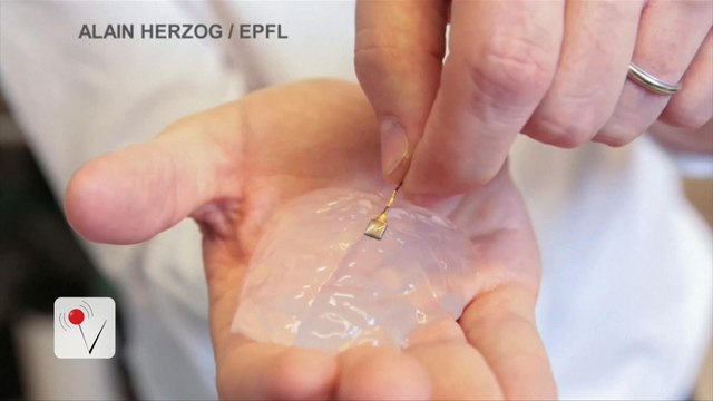 Paralyzed People Could Walk Again