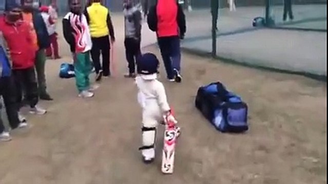 3 Year Old Boy Playing Amazing Cricket