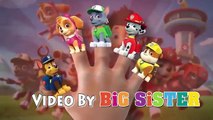 Paw Patrol Daddy Finger ✦ Finger Family ✦ Funny Animation Nursery Rhymes & Songs for Children