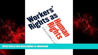 Best book  Workers  Rights as Human Rights
