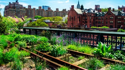 When Did Urban Infrastructure Become So Cool?