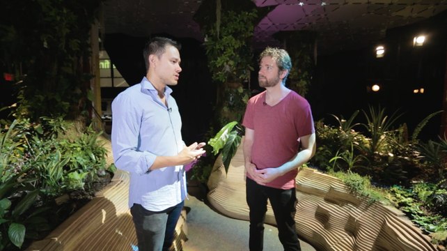 You Can Grow Plants Underground—And We Asked Lowline Labs Creator How It’s Done