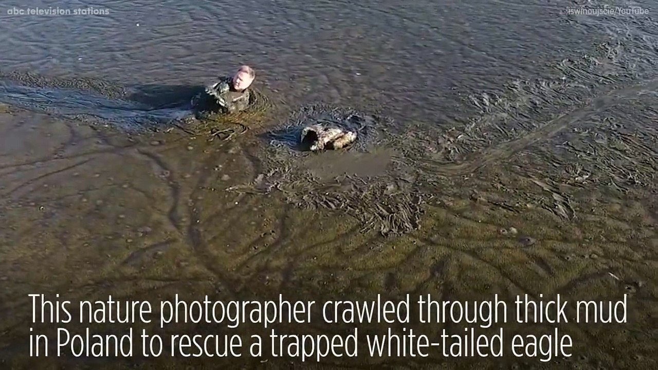 Il rampe une centaine de mètres dans la boue, quand il en sort ça Je n'en crois pas mes yeux!