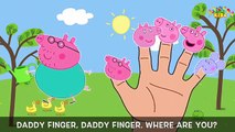 Peppa Pig Finger Family Songs ¦ Peppa Pig Water Flowers ¦ Nursery Rhymes Lyrics