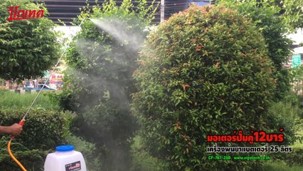 VIGOTECH เครื่องพ่นยาแบตเตอรี่ 25 ลิตร มอเตอร์ปั๊มคู่ 12บาร์ CF-767-25B