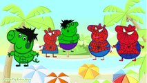 Peppa Pig Spiderman and Peppa Pig Hulk - Finger Family Song | Nursery rhymes for Children