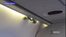 Live Snake Intrudes on a Flight in Mexico