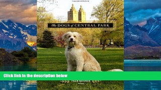 Best Buy Deals  The Dogs of Central Park  Best Seller Books Best Seller