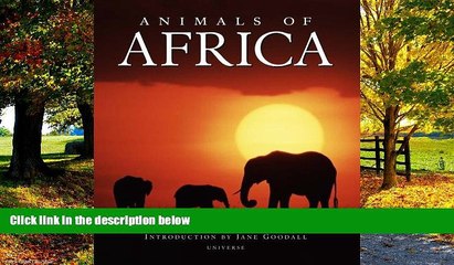 Best Buy Deals  Animals of Africa  Full Ebooks Most Wanted