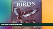 Ebook Best Deals  Southern African Birds: A Photographic Guide  Buy Now