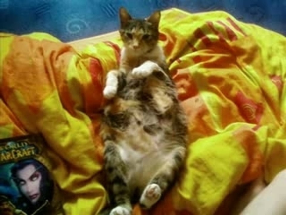 Cookie ma minette