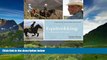 Best Buy Deals  Equitrekking: Travel Adventures on Horseback  Full Ebooks Best Seller