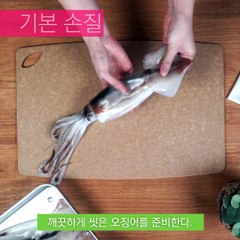 무섭지 않아요~ 쉽게 배우는 오징어손질법!! [만개의노하우]