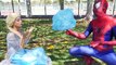 Jack Frost Spiderman Love Frozen Elsa Spiderman Webs vs ice Power Superhero Fun in Real Life