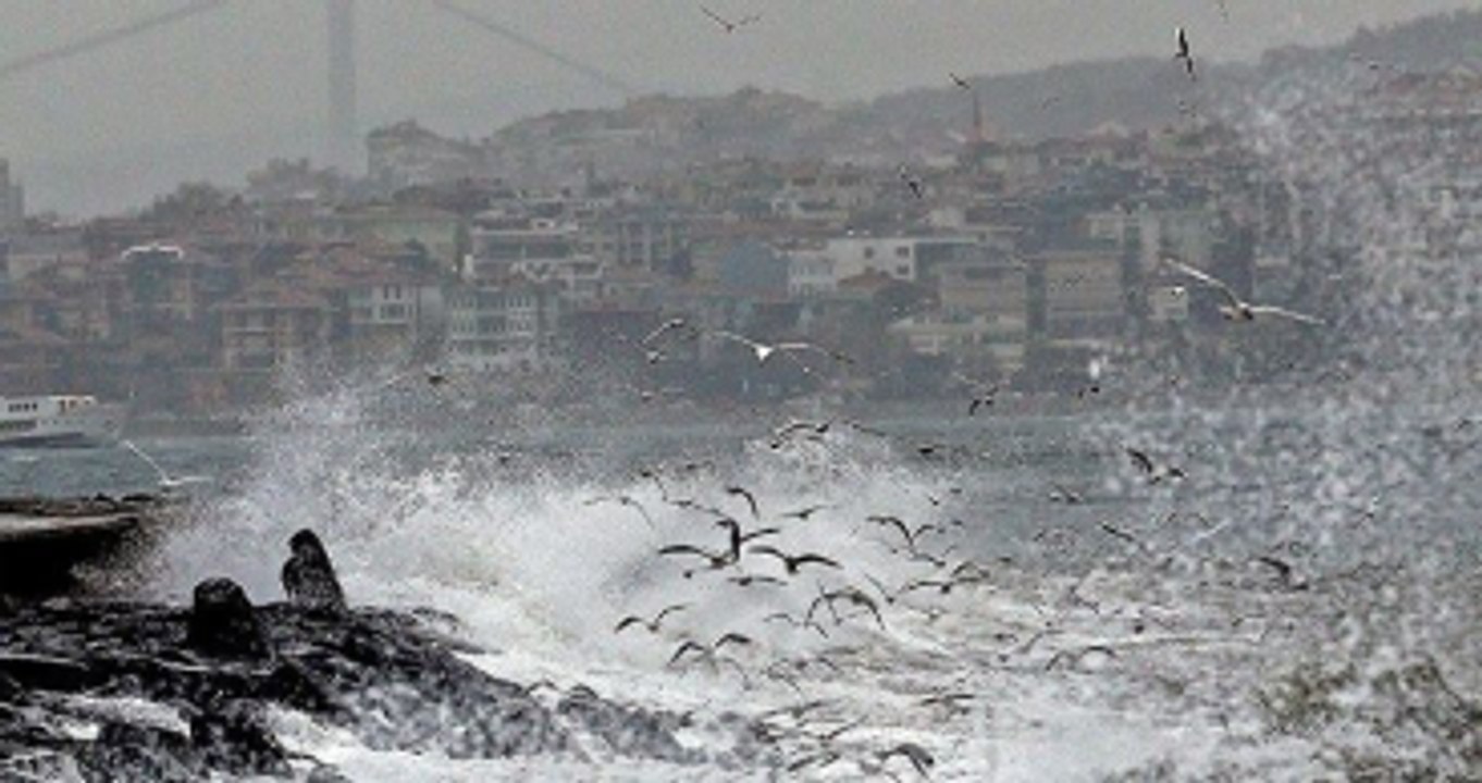 İDO ve BUDO'da Sefer İptalleri