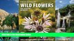 Best Buy Deals  Field Guide to Wild Flowers of South Africa  Best Seller Books Most Wanted