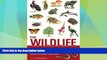 Buy NOW  The Wildlife of Southern Africa: The Larger Illustrated Guide to the Animals and Plants