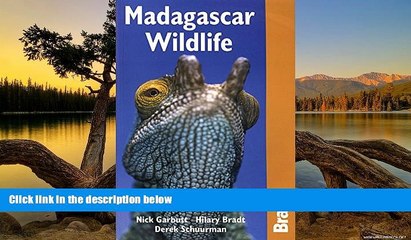 Best Deals Ebook  Madagascar Wildlife 3rd (Bradt Travel Guide Madagascar Wildlife)  Most Wanted