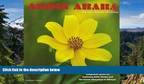 Must Have  Addis Ababa, the new flower of Africa  Full Ebook