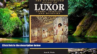 Must Have  Illustrated Guide To Luxor And The Valley Of The  Kings  Most Wanted