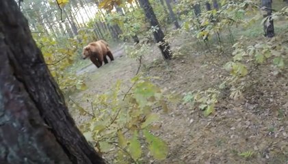 Đang đi xe đạp trong rừng bị gấu tấn công bất ngờ