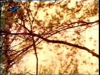 Паша Христова, Мария Нейкова и Мими Иванова - Яворова Пролет (1970)