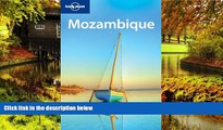 Must Have  Lonely Planet Mozambique (Country Travel Guide)  Buy Now