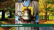 Best Buy Deals  National Geographic Traveler: Morocco  Full Ebooks Most Wanted
