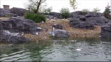 Wildlands Adventure Zoo Emmen