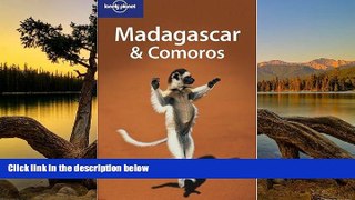 Big Deals  Lonely Planet Madagascar   Comoros  Most Wanted
