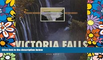Must Have  Victoria Falls (Natural Wonders of the World)  Buy Now
