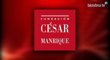 Fundación Cesar Manrique - Libro  "La Gran Encrucijada"