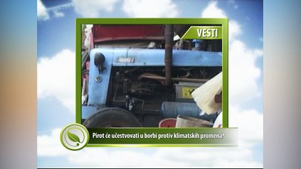 Vesti - Pirot će učestvovati u borbi protiv klimatskih promena!